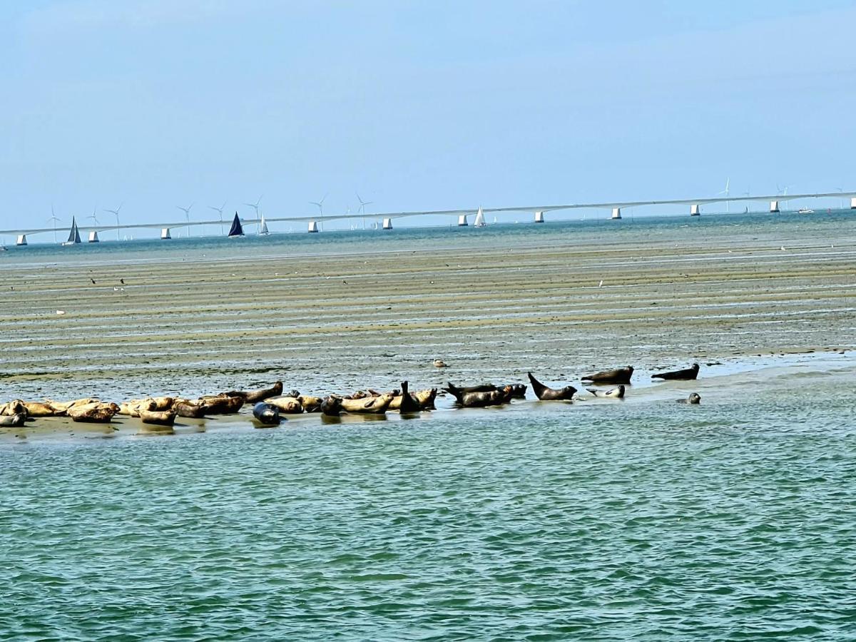 De Corner Van Zeeland Met Jacuzzi 圣安娜兰 外观 照片