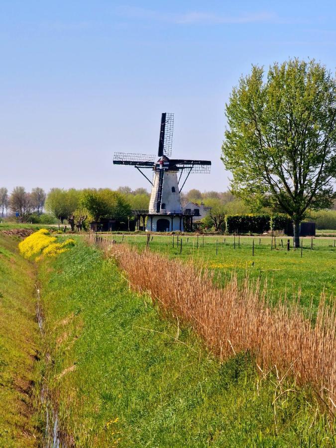 De Corner Van Zeeland Met Jacuzzi 圣安娜兰 外观 照片