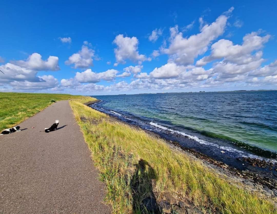 De Corner Van Zeeland Met Jacuzzi 圣安娜兰 外观 照片